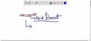 Which of the following is the organelle that spirochetes use to propel themselves? a. plasma membrane b. axial filament c. pilum d. fimbria | Numerade