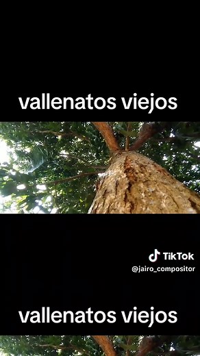 Vallenatos viejos: Ni el cielo ni la tierra son más grandes que mi amor