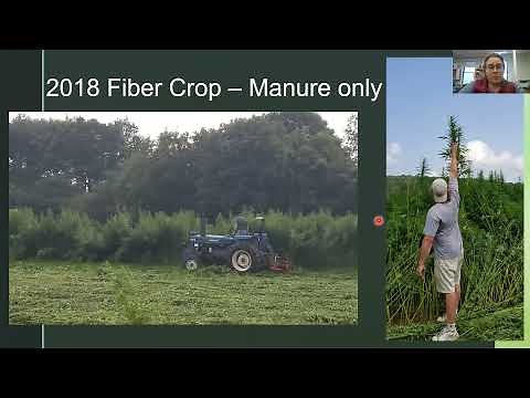 Fiber Hemp Production