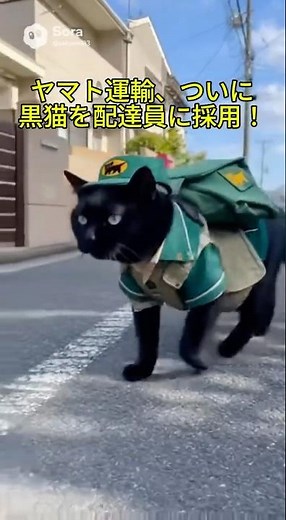 ヤマト運輸、ついにクロネコを配達員に採用！