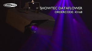 1.2K views · 11 reactions | The Dataflower brings a classic evergreen...