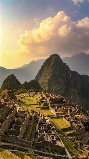 Propolis: From Ancient Egypt to Modern Gut Health