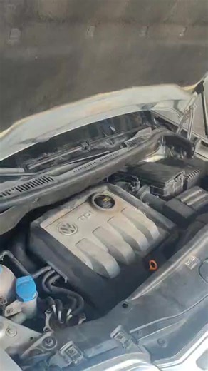 VW TDI 1.9 Engine Cold Start Demonstration