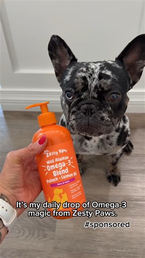 Say hello to Zesty Paws Wild Alaskan Omega-3 Blend Pollock Salmon Oil for Dogs & Cats—the same trusted fish oil, now with a glow-up that reflects its premium benefits for skin, coat, and overall well-being. 🐟✨ | Zesty Paws