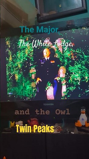 The Major, The White Lodge and the Owl #twinpeaks #majorbriggs #davidlynch #owl