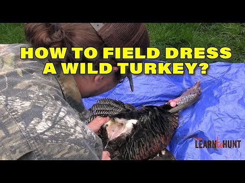 How to Field Dress a Turkey?