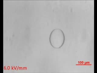 Droplet response to electric voltage in solids exposed
