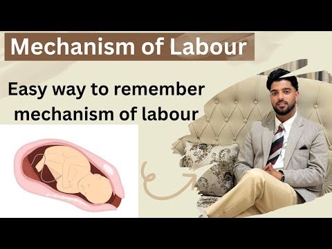 Mechanism of Labour: Stepwise Movements of the Fetus During Vaginal Delivery