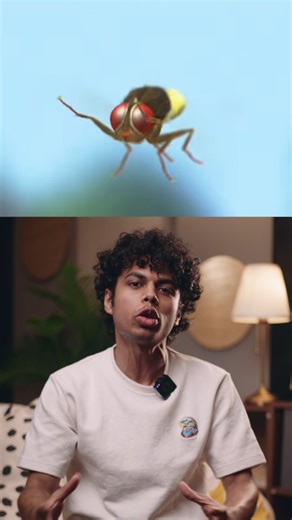 Aevy • Learn Video Mastery on Instagram: "The Fly in Eega Was Voiced by SS Rajamouli Himself 🤯"