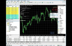 mt4编程 外汇ex4文件去除账号和时间限制的ea破解视频演示