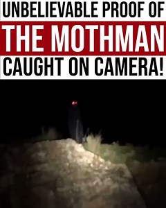 3.2M views · 75K reactions | Is the Mothman a savior, here to warn us about impending destruction? or is he a being of pure evil and chaos? | Project Nightfall | Facebook