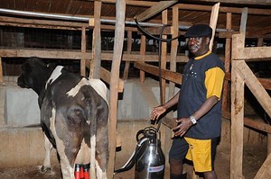 A Tour Inside Raila Odinga's Famous Opoda Farm in Bondo  - KDRTV