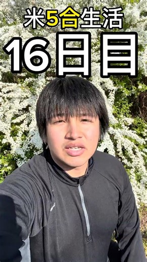 【16日目】米5合生活|今日もラン #継続 #チャレンジ #ランニング #running #ダイエット