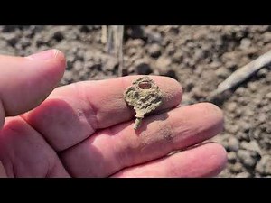 Gekke metaaldetectie bodemvondsten in Noord Holland