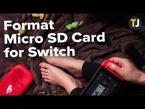 How to Format Micro SD Card for Switch on PC