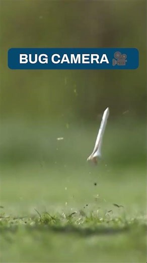 A Bug’s Life (1998)