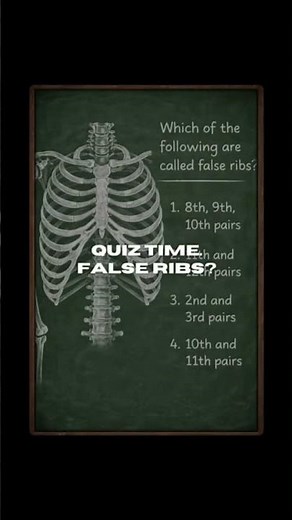 NCERT Question: Identify the False Ribs 🦴