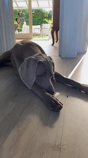 3.9K views · 211 reactions |  Tag your friends who love this! ...