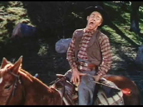 the Wilhelm scream Sheb Wooley Warner sound studios 1951 (for the movie Distant Drums)
