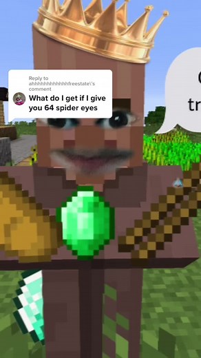Exploring Minecraft: What to Do with 64 Spider Eyes?