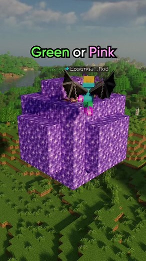 Ultimate Minecraft Player Quiz - Can You Guess Them All?