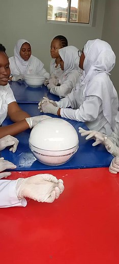 Lab_Luminaries on TikTok