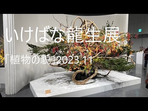 いけばな龍生展「植物の貌」2023.11.24-26 ＃龍生派 ＃生け花
