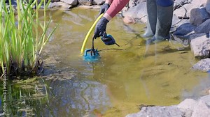 Adult Caucasian woman lets down a submersible water pump into an artificial garden fish pond to pump out water and clean the bottom from dirt and silt. Spring or Summer Pond Care