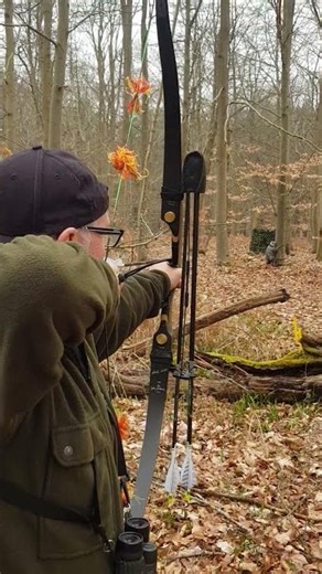 3d Raccoon Climbing a Tree Target - TBH Rig #archery #sport #outdoors #hobby #practice #fun #nature