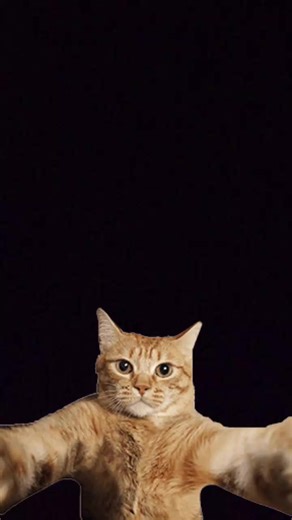 Videos de nsnsnfnfnfnflsl (@fnsbsrldfjst) con “candyland but more swag - DSi Guy”