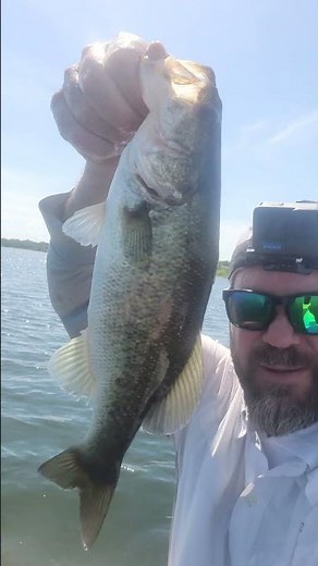 Bass 8 Catch and Release