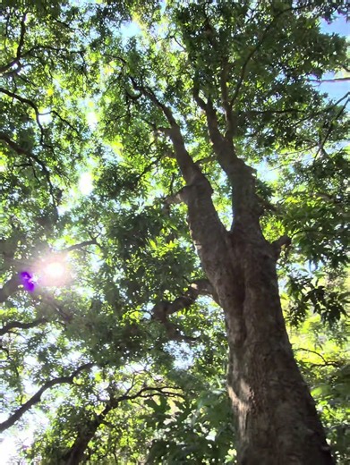 Explora el Mundo del Trail Running con Angel Superbikes