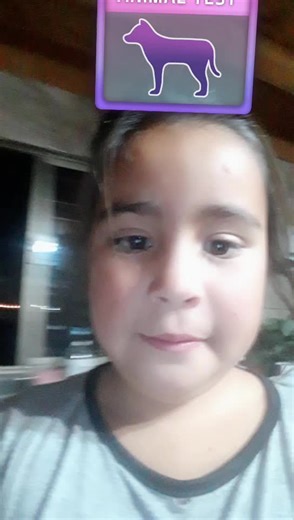 Videos de michelle bachelet (@michellebachelet01) con “sonido original - michelle bachelet”