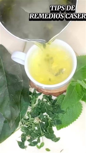 803K views · 6K reactions | Despídete de la diabetes y hipertensión con la está bebida milagrosa #plantas #colesterol #diabetes #presionarterial | Tips de Remedios caseros | Facebook