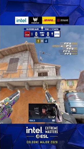 🐨 ACE