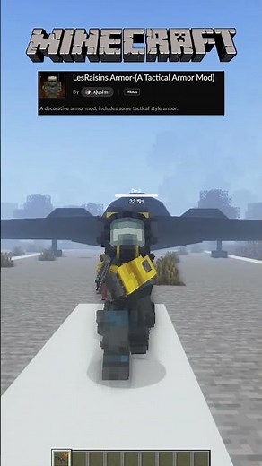 Minecraft Mod - LesRaisins Armor #minecraft #minecraftmods #minecraftshorts