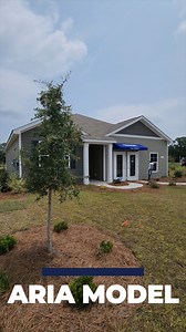 Explore The Aria Model