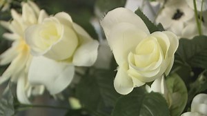 Funeral procession etiquette in Kentucky - WNKY News 40 Television