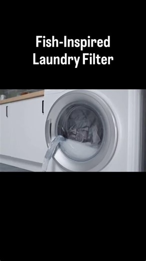 SciFind on Instagram: "An ancient fish adaptation may help solve one of today’s biggest plastic pollution problems. Inspired by the way certain fish feed, researchers in Germany have developed a filtration system capable of removing up to 99% of microplastic particles from water. The design mimics the natural filtering structures found in the mouths of fish such as sardines, anchovies, and mackerel—species that have evolved over millions of years to capture microscopic prey while letting clean w