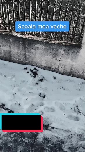 Scoala mea veche: Amintiri din trecut