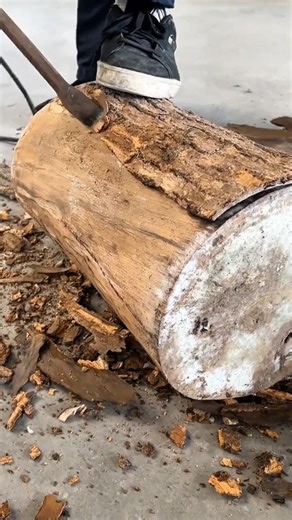 The Process Of Peeling Wood Log Bark Manually Using Special Chisel