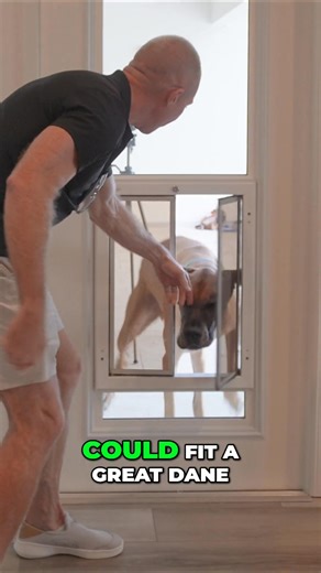 They first discovered PlexiDor while searching for a door that was functional, stylish, and strong enough for a Great Dane, and they’ve never looked back. Because when you find the perfect dog door… you stick with it for life. 🐶 #PlexiDor #DogDoor #PlexiDorContest #GreatDane #DogLovers #PetDoors #MadeInUSA #Durability #QualityThatLasts #Since2004 | PlexiDor Dog Doors