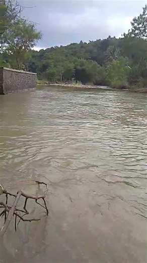 fishing # catfish #mancing #mancingmantap #viralvideo #flashback #trendingshorts #mancingnilademak