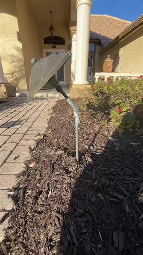 New PATHLIGHT installation! #outdoorlighting #landscapelighting #paradiselightsfl