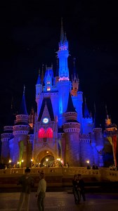 ✨ Step into the magic at Disneyland Japan! From thrilling rides to enchanting parades, every corner is filled with wonder and joy. Make memories that last a lifetime in the happiest place on earth! 🎢🎠🌈 #DisneylandJapan #MagicEverywhere #FamilyAdventure #JapanPrivateCarTour #NomadDiariesTravelandTours | Nomad Diaries Travel & Tours