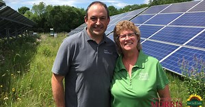 Bee-u-tiful Solar Energy