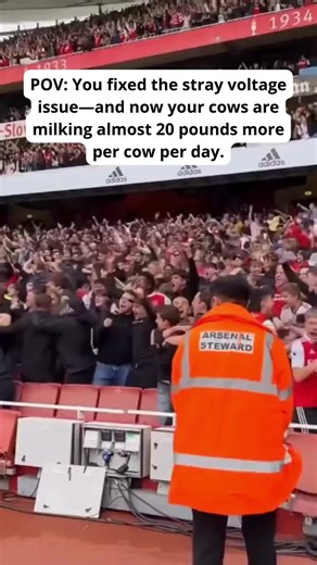 From mysterious cow hesitations to market‑leading production—stray voltage matters. 💡📈Curious about the dairy cattle industry? Check out The Dairy Podcast Show for the latest trends and insights. Tune in now! 🎧🎙️#dairyproduction #herdhealth #electricalaudit #farmROI #agritech #dairyexpert | The Dairy Podcast Show