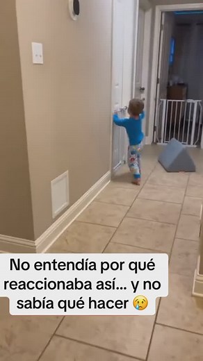 Maternidad | Sueño Infantil | Estimulación | BLW on Instagram: "¿Sabías que los berrinches son una parte completamente normal del desarrollo de los niños? 😳 ✨Aunque muchas veces nos ponen a prueba, son su manera de expresar emociones que todavía no saben manejar. Lo importante no es evitar los berrinches, ¡sino aprender a manejarlos de forma respetuosa y efectiva! ✨ En nuestro taller gratuito “Dile adiós a los berrinches en tiempo récord” te enseñaremos estrategias sencillas y prácticas para af