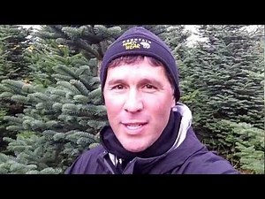 How about a "Natural Noble Fir"?