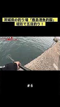 Fishing for various species at the breakwater of "Kashima Port Fishing Park" in Ibaraki Prefectur...